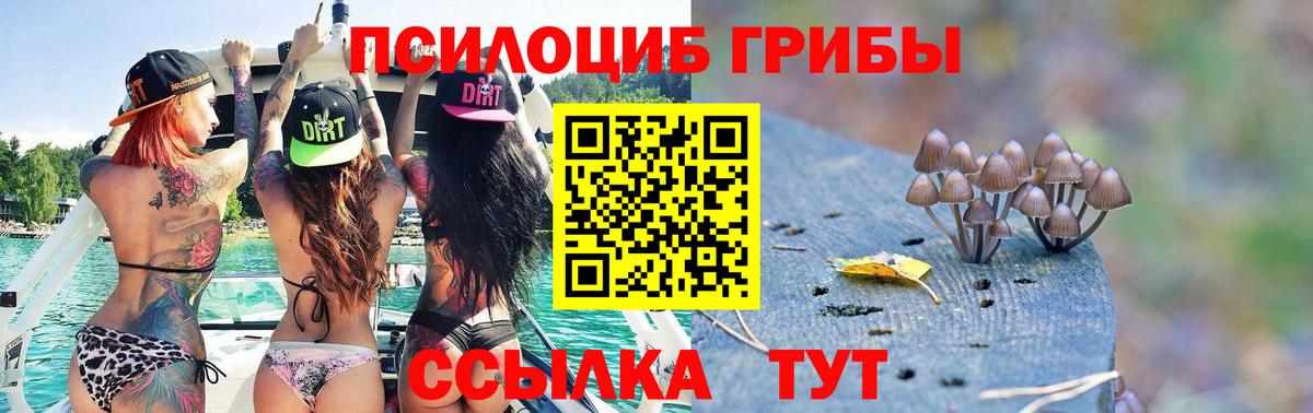 Псилоцибиновые грибы прущие грибы  как найти   Камышлов  Вход с VPN 